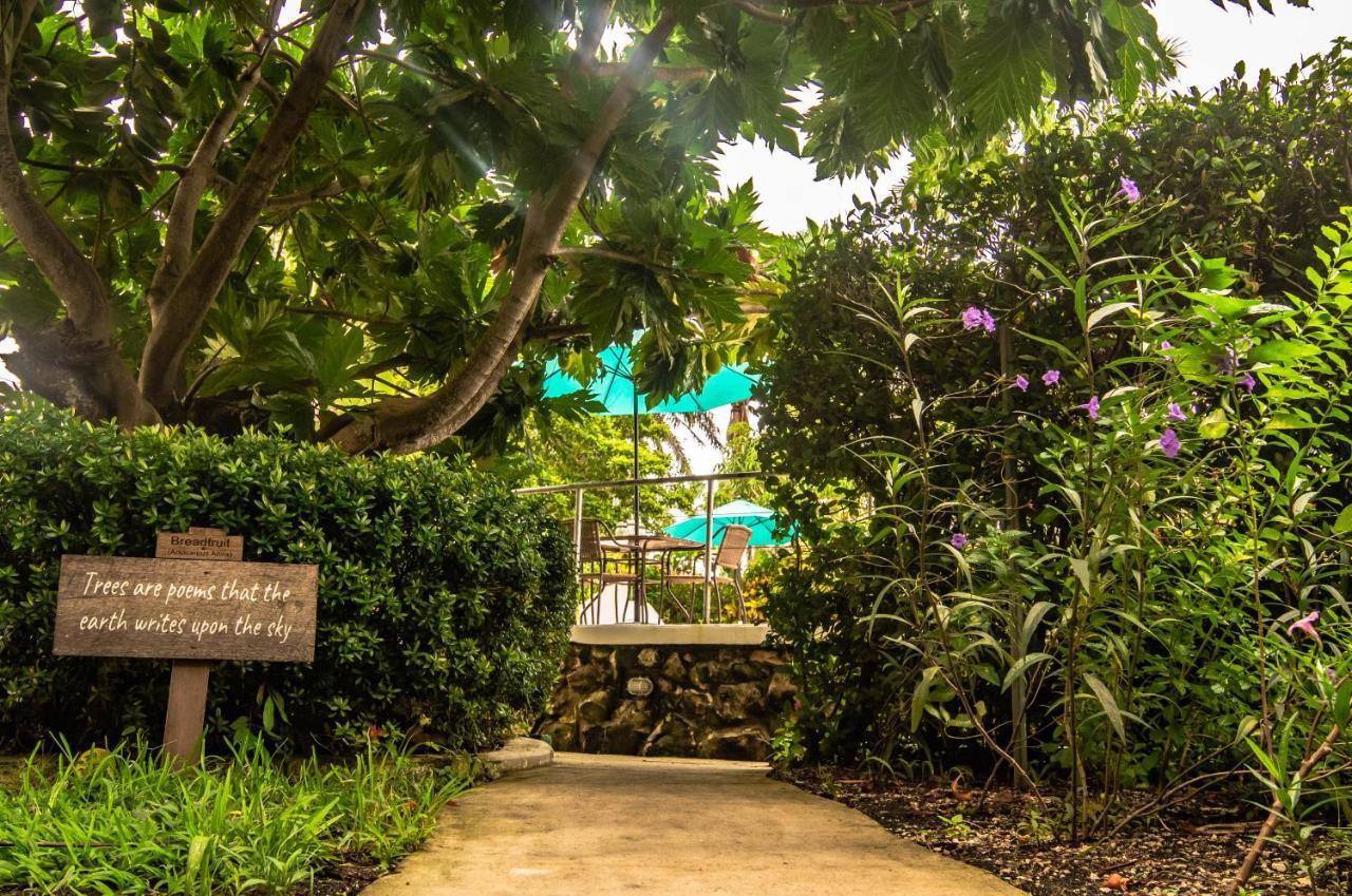 Harbour View Boutique Hotel & Yoga Retreat Belize City Buitenkant foto